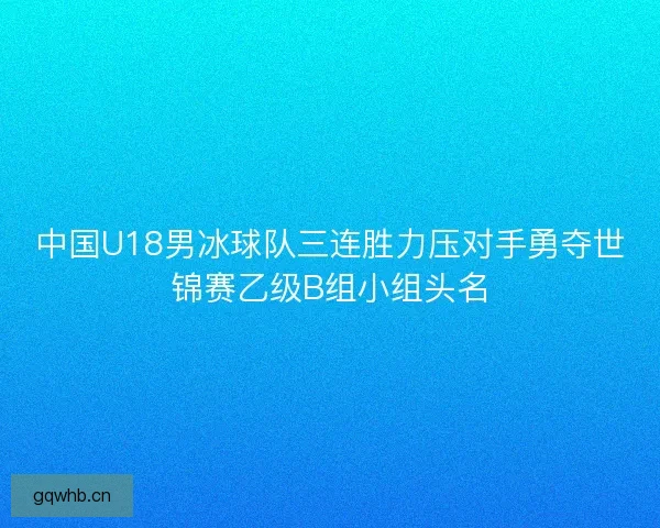 中国U18男冰球队三连胜力压对手勇夺世锦赛乙级B组小组头名 中国U18男冰球队三连胜力压对手勇夺世锦赛乙级B组小组头名