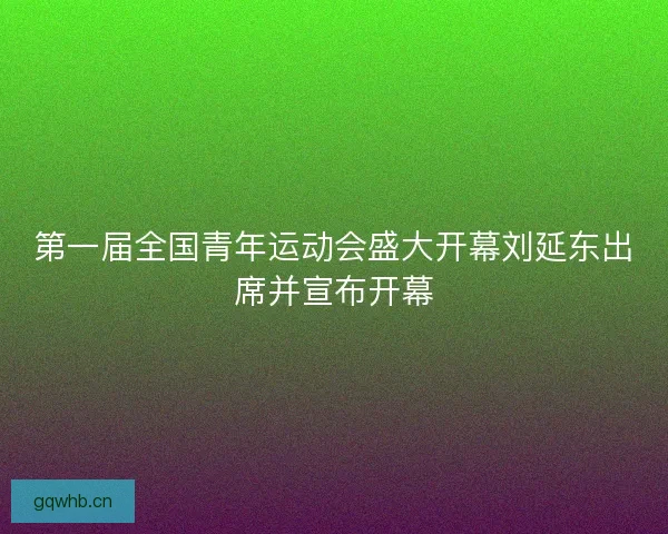 第一届全国青年运动会盛大开幕刘延东出席并宣布开幕